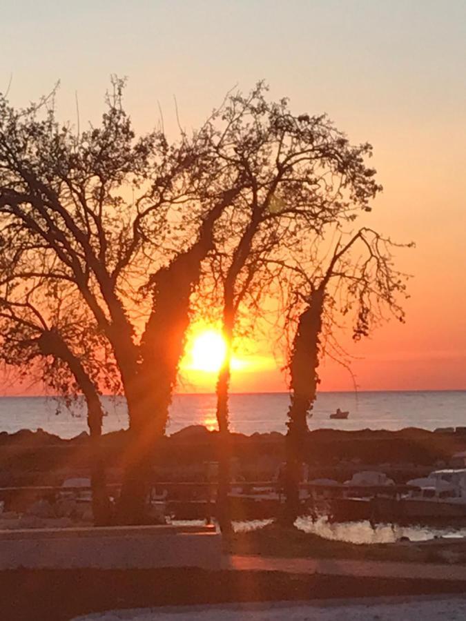 Maj Premium Apartment 4 Sterne - Neu Renoviert Poreč Eksteriør bilde