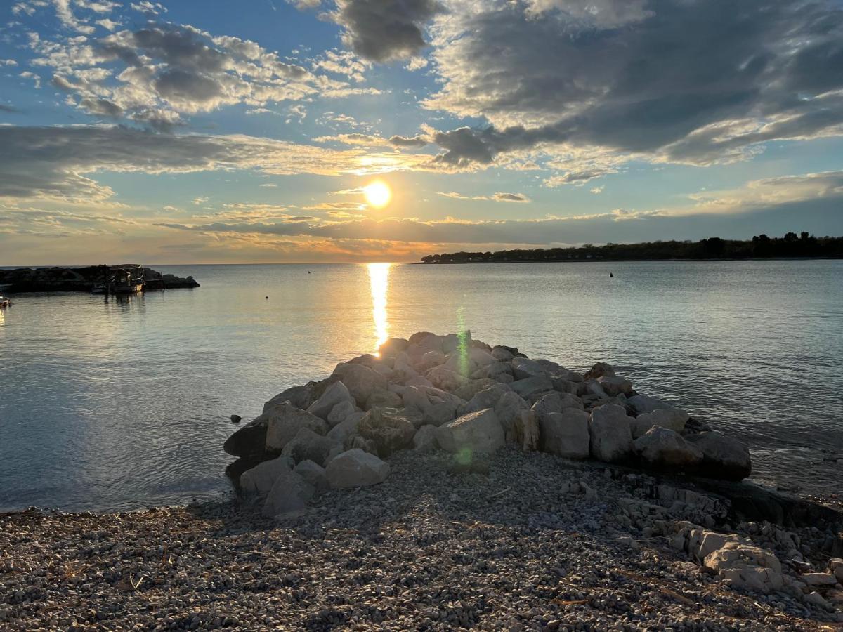 Maj Premium Apartment 4 Sterne - Neu Renoviert Poreč Eksteriør bilde