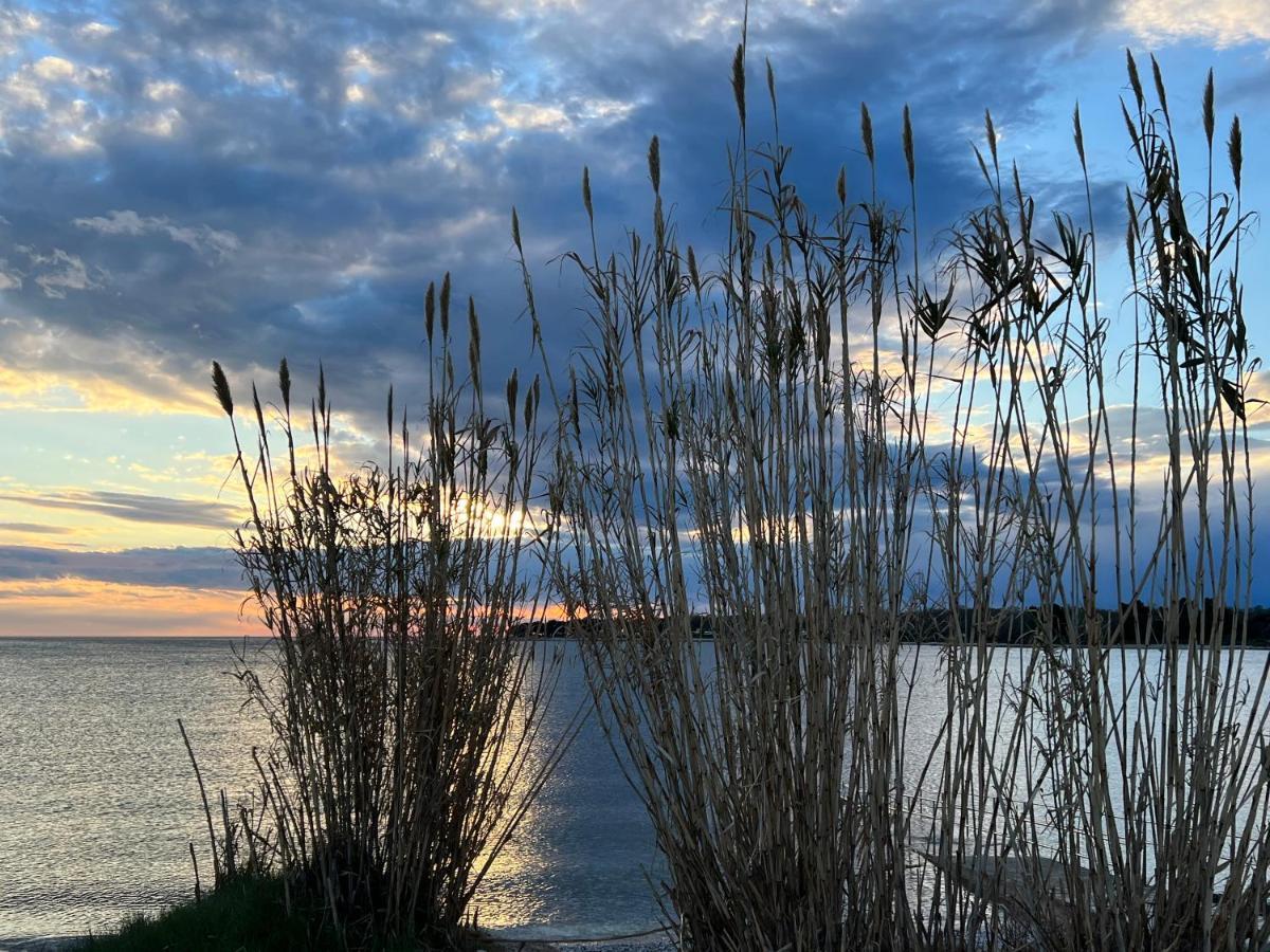 Maj Premium Apartment 4 Sterne - Neu Renoviert Poreč Eksteriør bilde
