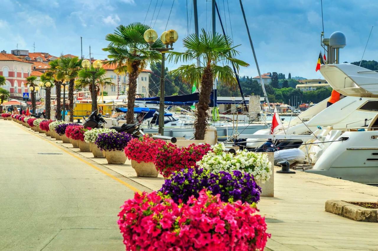 Maj Premium Apartment 4 Sterne - Neu Renoviert Poreč Eksteriør bilde